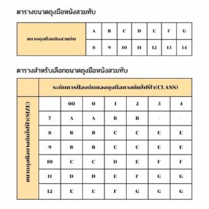 ถุงมือหนังสวมทับถุงมือยางกันไฟฟ้า REGELTEX รุ่น RGXSG